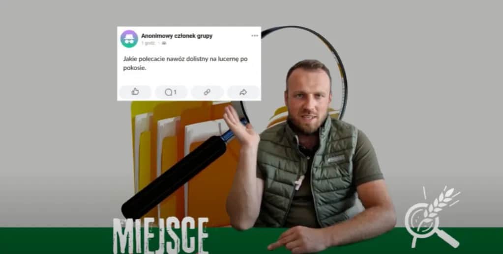 Jaki nawóz na lucernę? Kluczowe składniki dla lepszych plonów