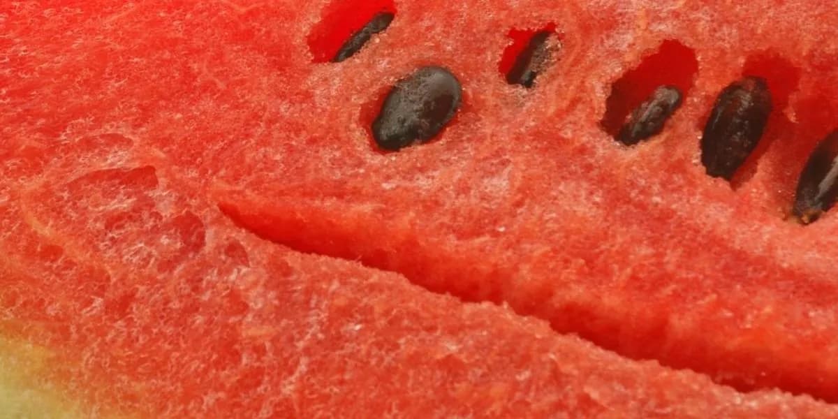 Kiedy sezon na arbuza? Sprawdź, by nie przegapić smaku lata