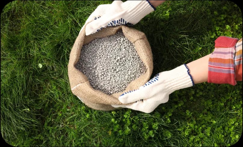 Kiedy nawóz do trawy na wiosnę? Oto kluczowe wskazówki, aby nie przegapić!