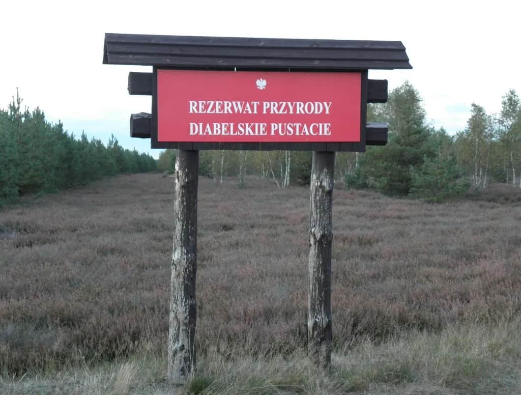 Rezerwat przyrody Diabelskie Pustacie - piękno wrzosowisk i szlaków