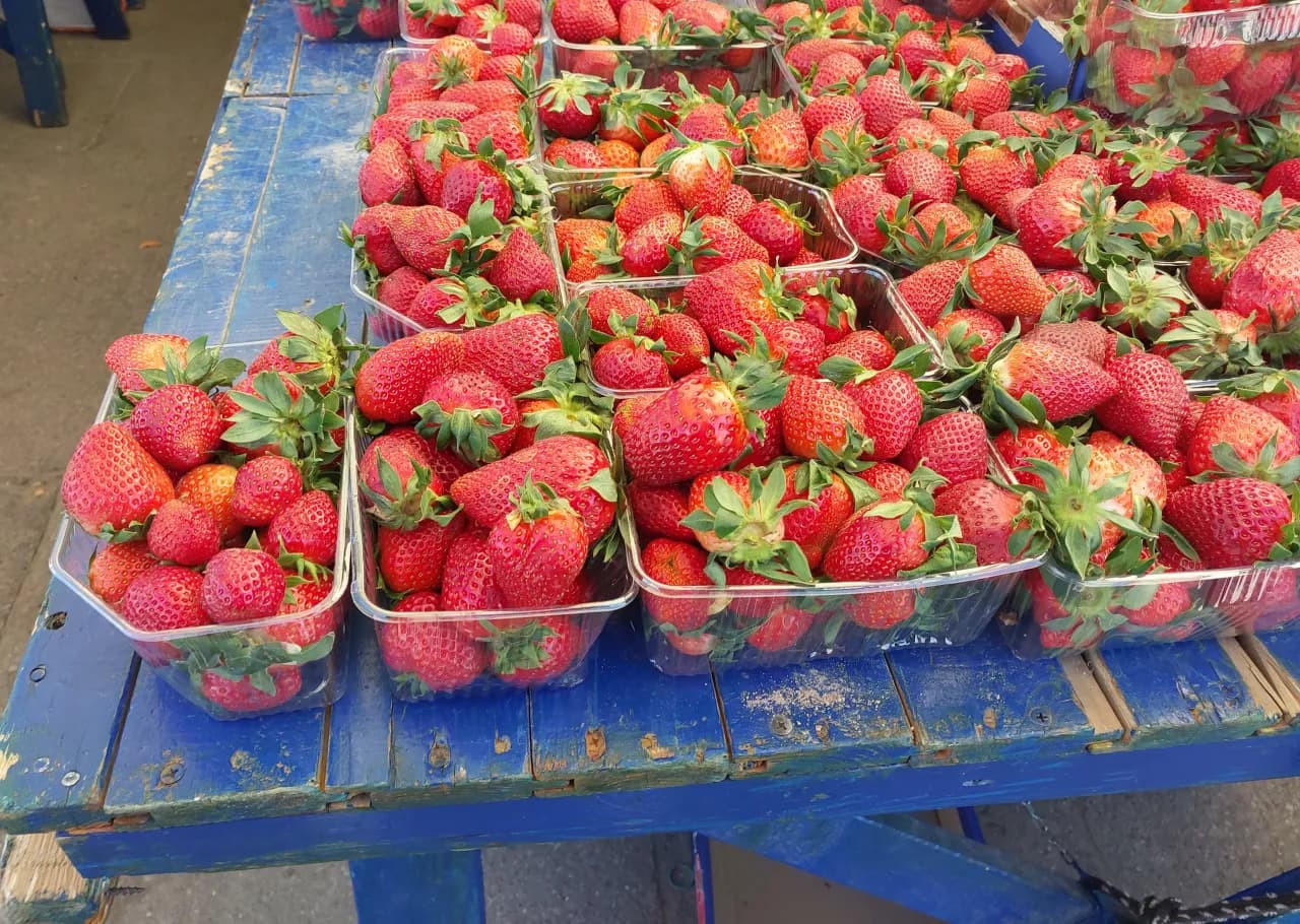 Kiedy jest sezon na truskawki w Polsce? Sprawdź najlepszy czas na zakupy