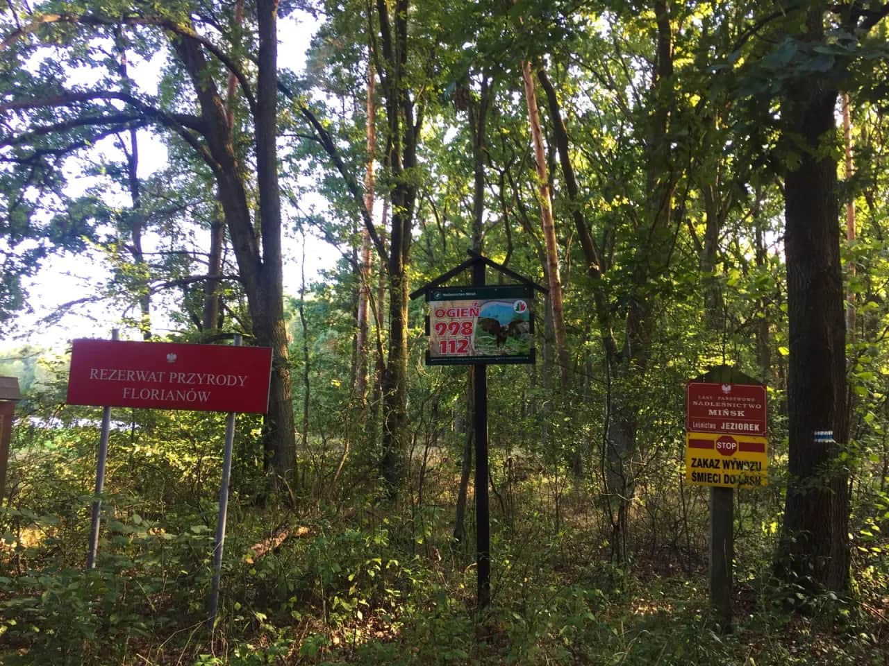Rezerwat przyrody Florianów: Odkryj jego tajemnice i bogactwo natury