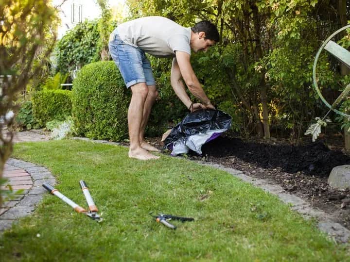 Czy siać już nawóz? Dowiedz się, kiedy najlepiej nawozić trawnik