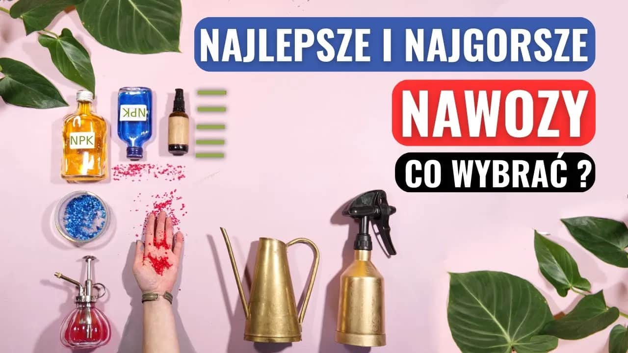 Jaki nawóz do roślin o kolorowych liściach zapewni ich zdrowie i blask?