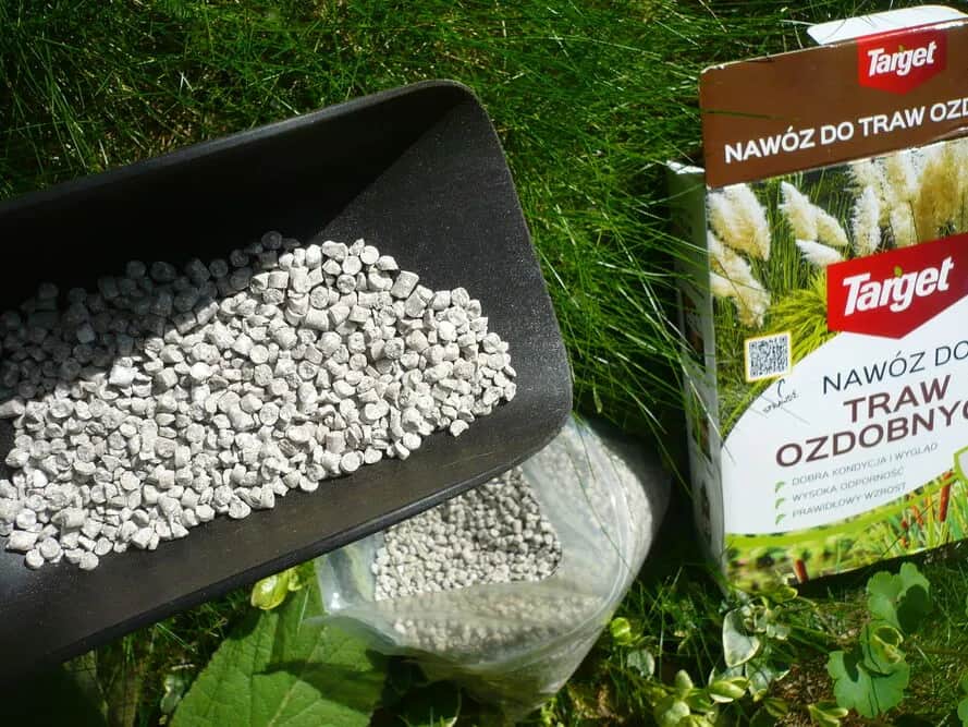 Jak skutecznie stosować nawóz do trawy i uniknąć błędów