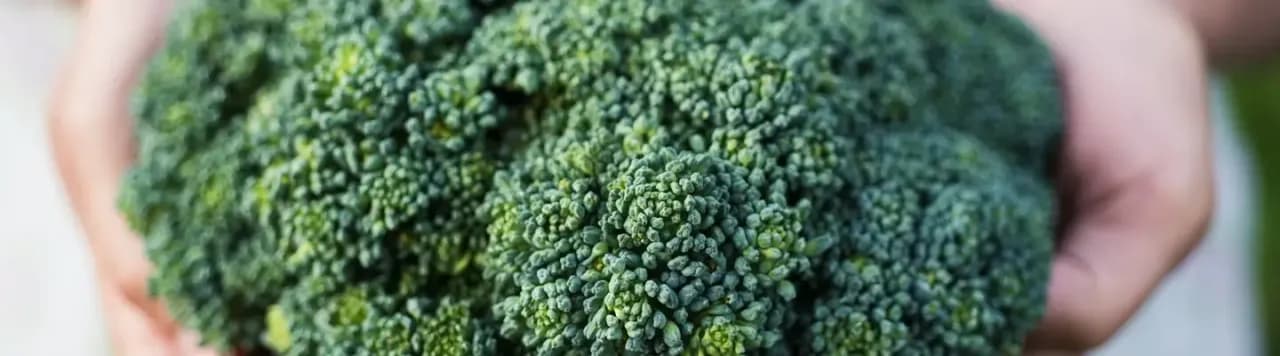 Kiedy jest sezon na brokuły? Poznaj najlepszy czas na zakupy