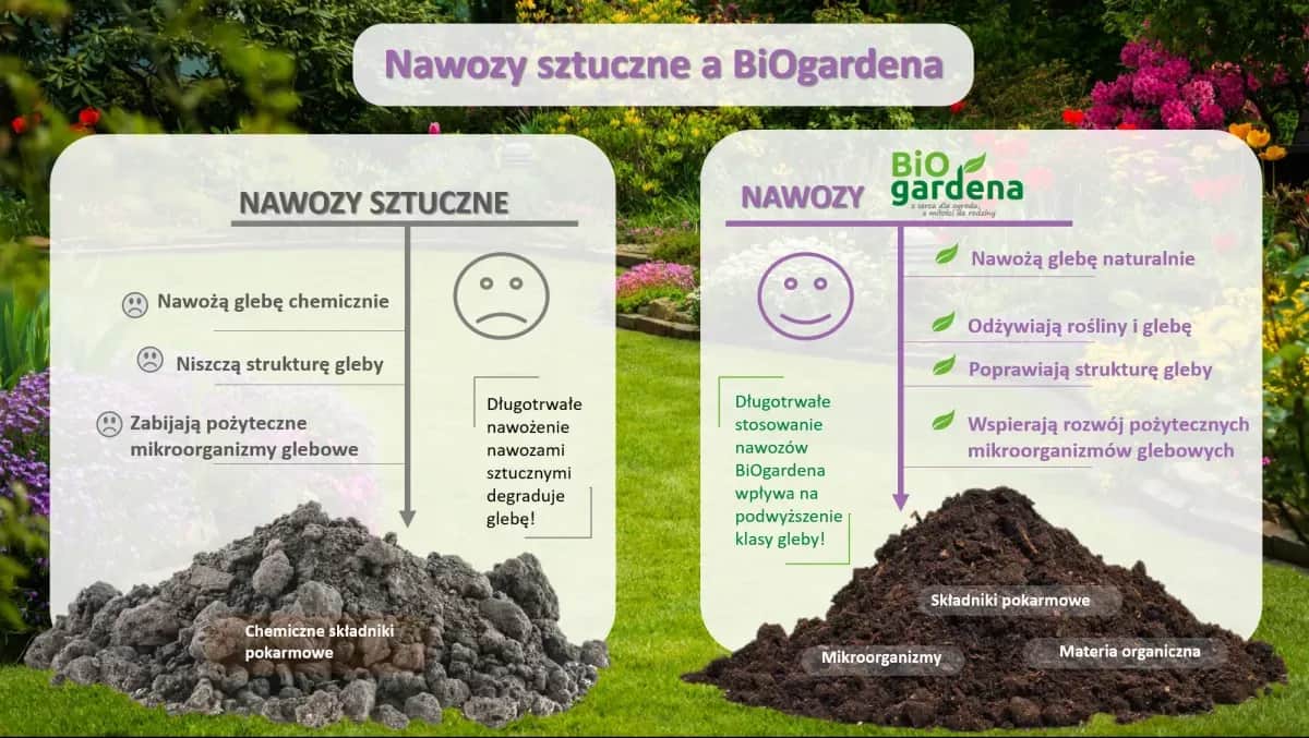 Jaki nawóz sztuczny pod warzywa? Sprawdź, jak uniknąć błędów w nawożeniu