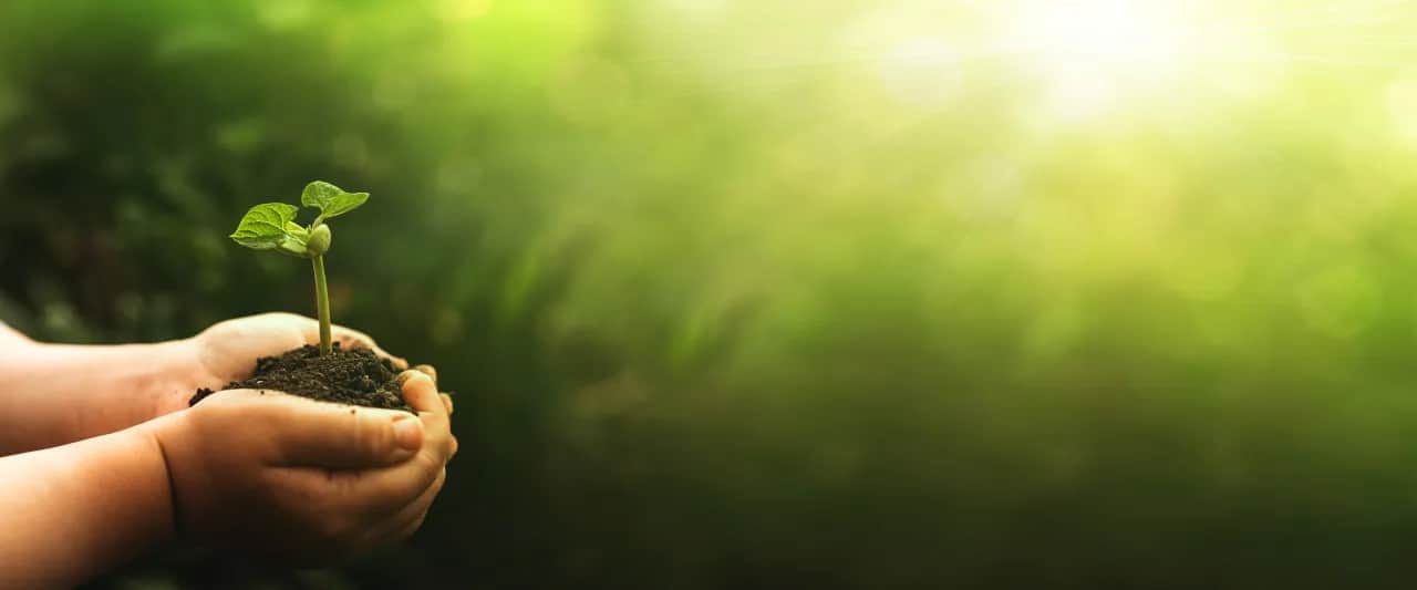 Kto był pomysłodawcą zielonego ładu i jakie są kontrowersje?