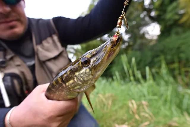 Kiedy zaczyna się sezon na ryby? Sprawdź daty i przepisy w Polsce