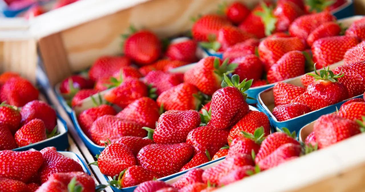 Sezon na truskawki kiedy? Sprawdź, kiedy najlepiej kupić świeże owoce