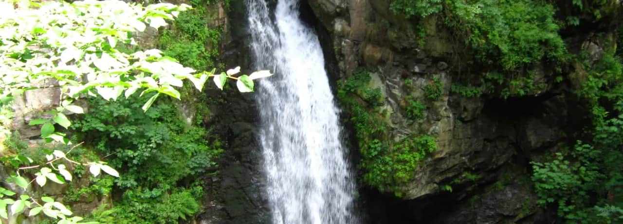 Rezerwat przyrody Wodospad Wilczki - odkryj jego niezwykłe piękno