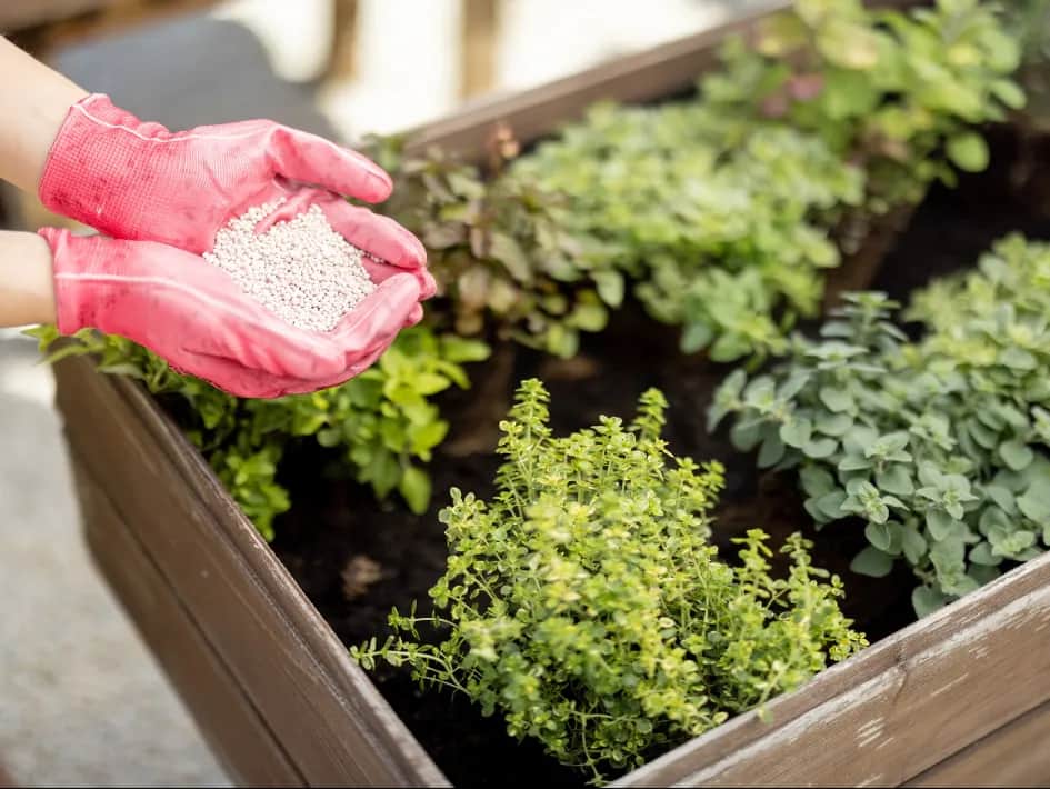 Nawozy mineralne – co to jest, ich rodzaje i zastosowanie w uprawach