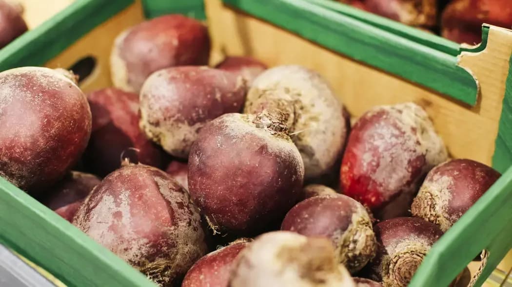 Kiedy sezon na buraki? Poznaj najlepszy czas na zbiór i przechowywanie