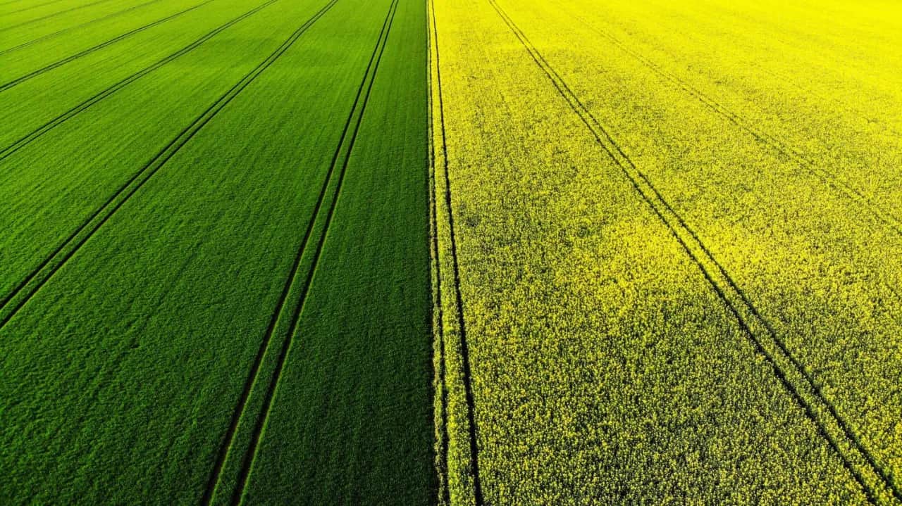Kiedy składać wnioski o dopłaty do nawozów, aby nie przegapić terminów