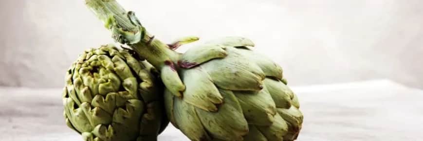 Kiedy jest sezon na karczochy? Sprawdź, kiedy są najlepsze!