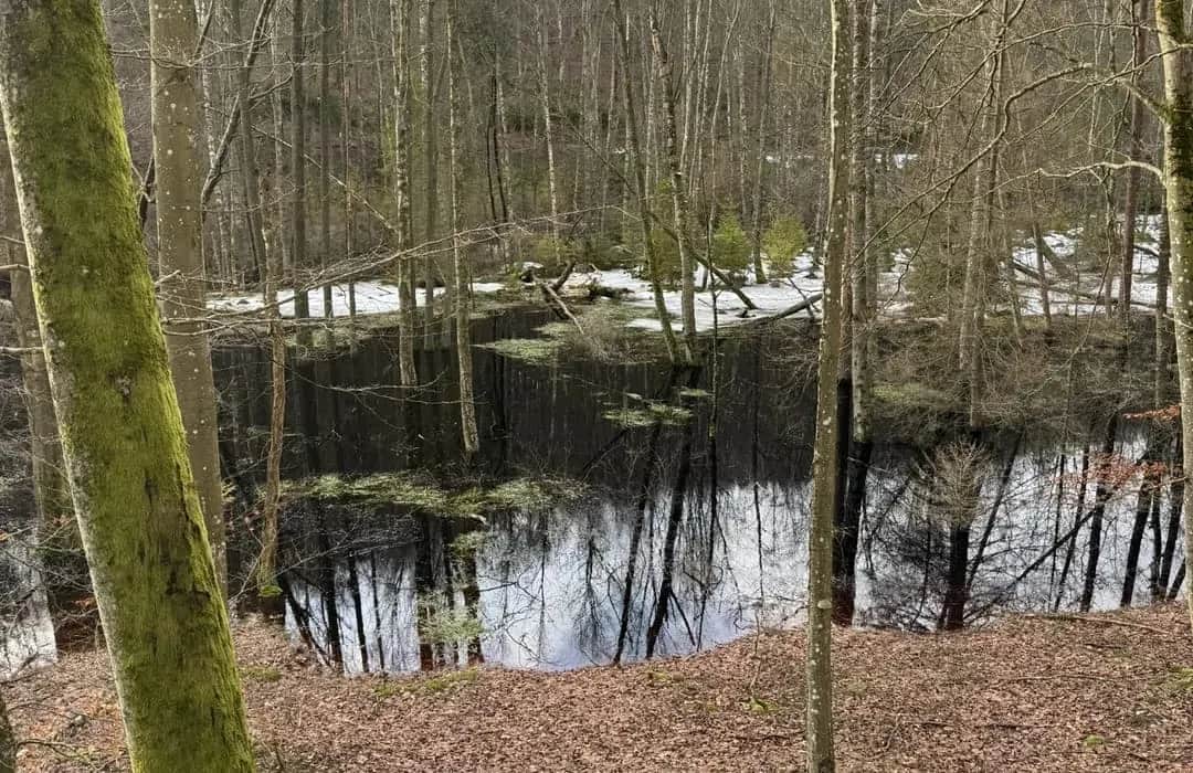 Rezerwat przyrody Lubygość: piękne krajobrazy i unikalna fauna