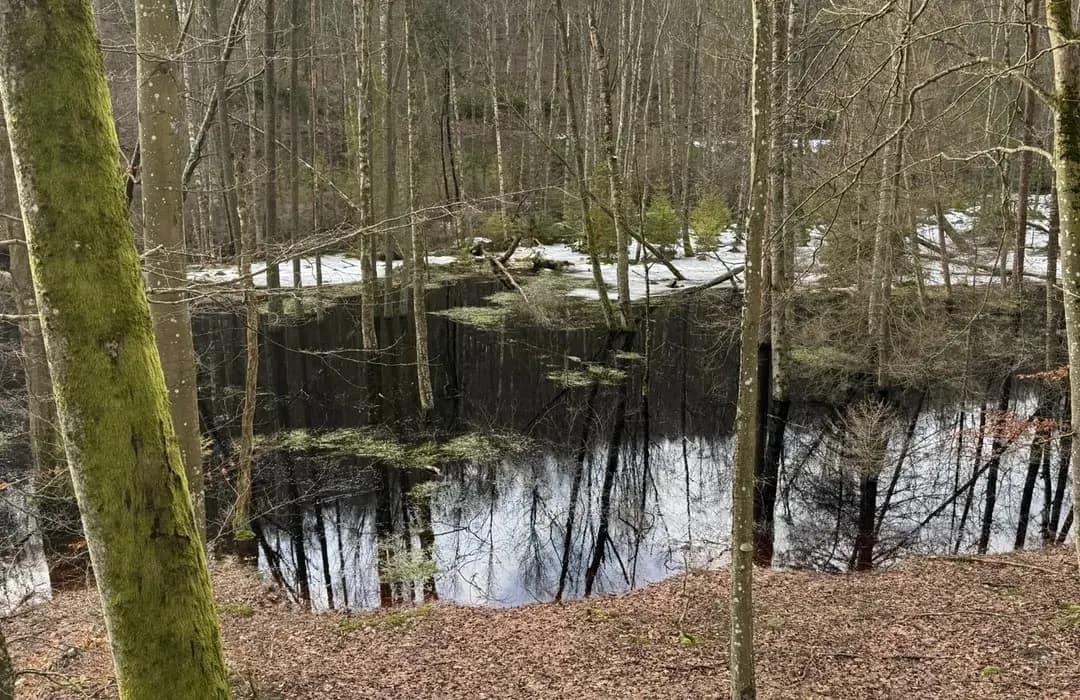 Rezerwat przyrody Lubygość: piękne krajobrazy i unikalna fauna