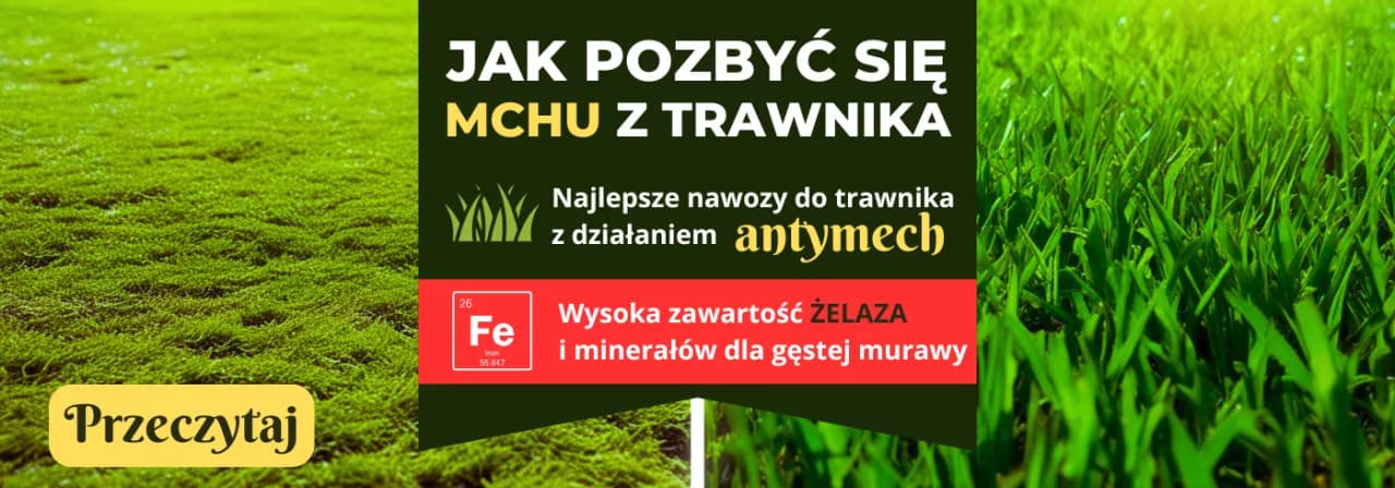 Skuteczne nawozy na mech, które uratują Twój trawnik przed zniszczeniem