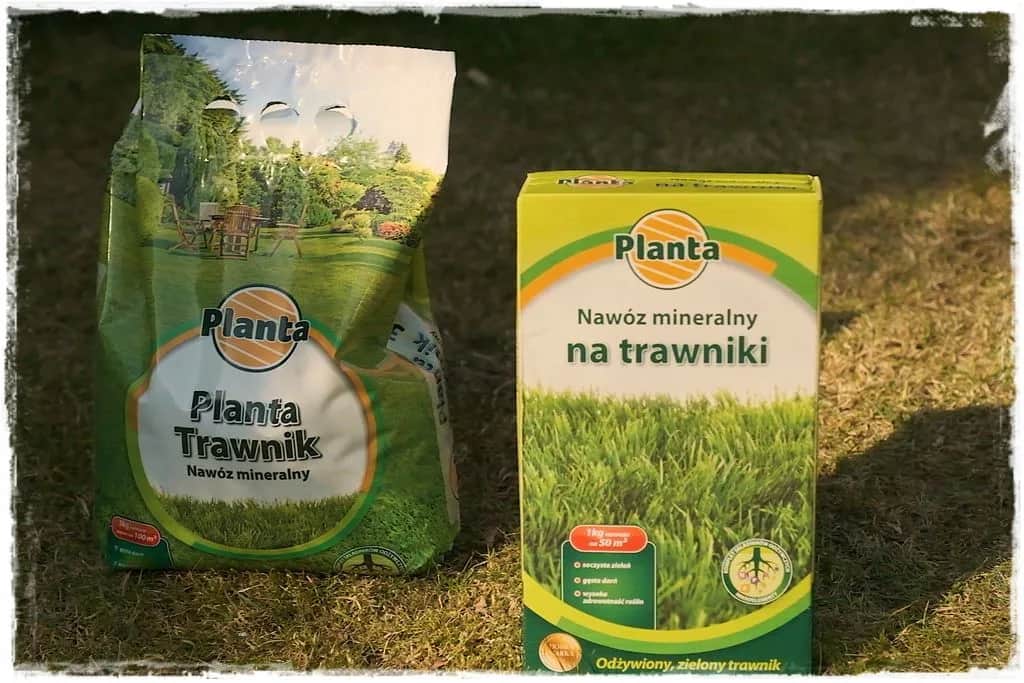 Jaki nawóz na trawnik wiosną, aby uniknąć błędów i uzyskać piękną zieleń