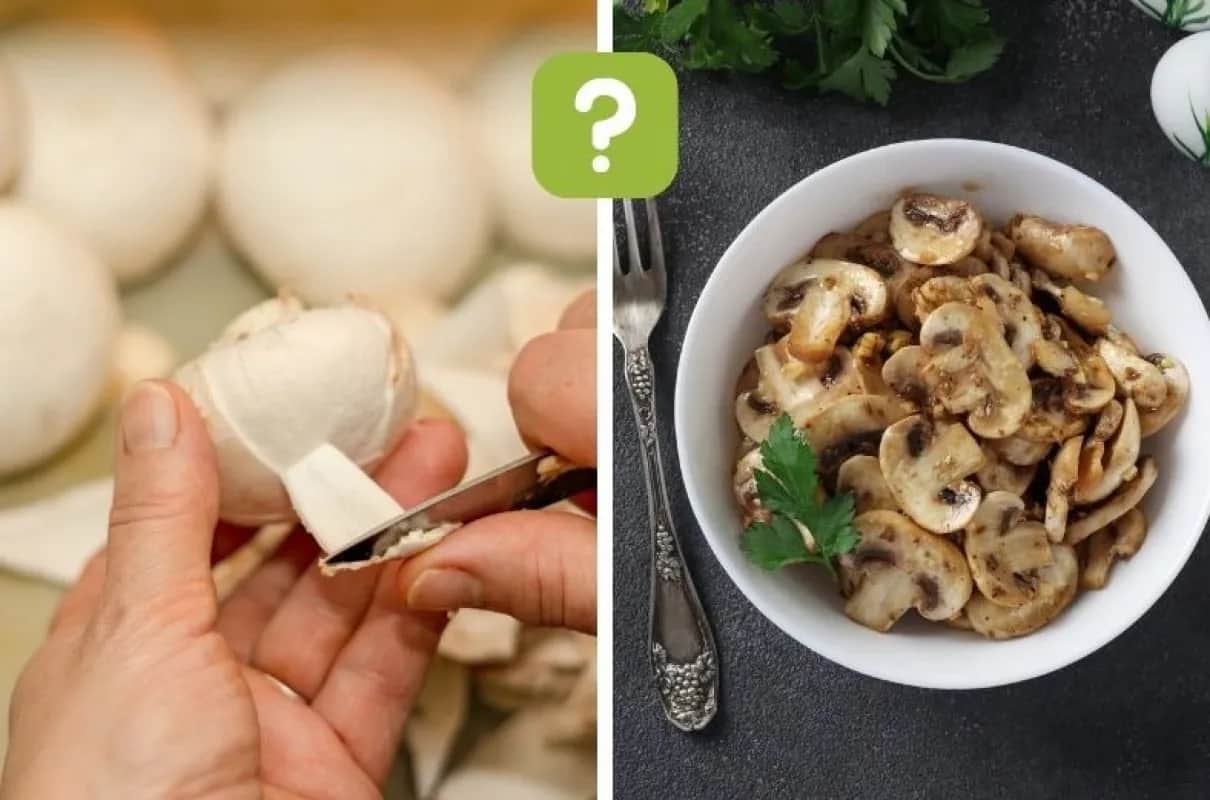 Kiedy jest sezon na pieczarki? Sprawdź, aby nie przegapić zbiorów