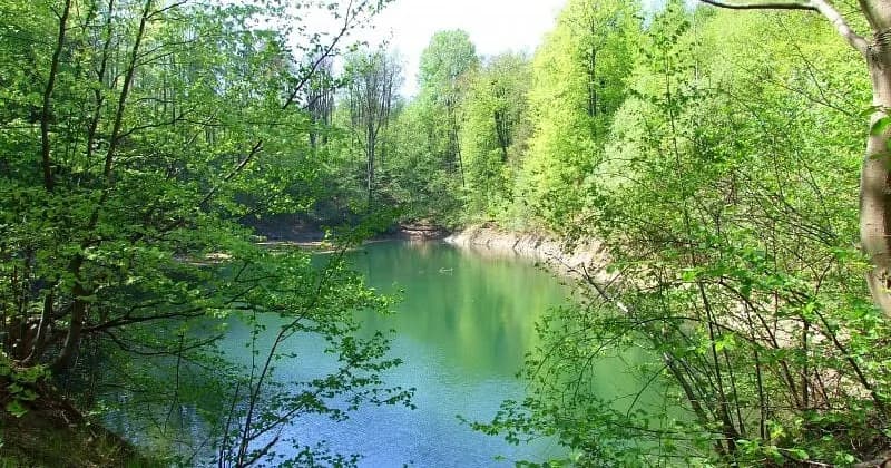 Rezerwat przyrody Jeziorko Daisy - odkryj tajemnice i atrakcje