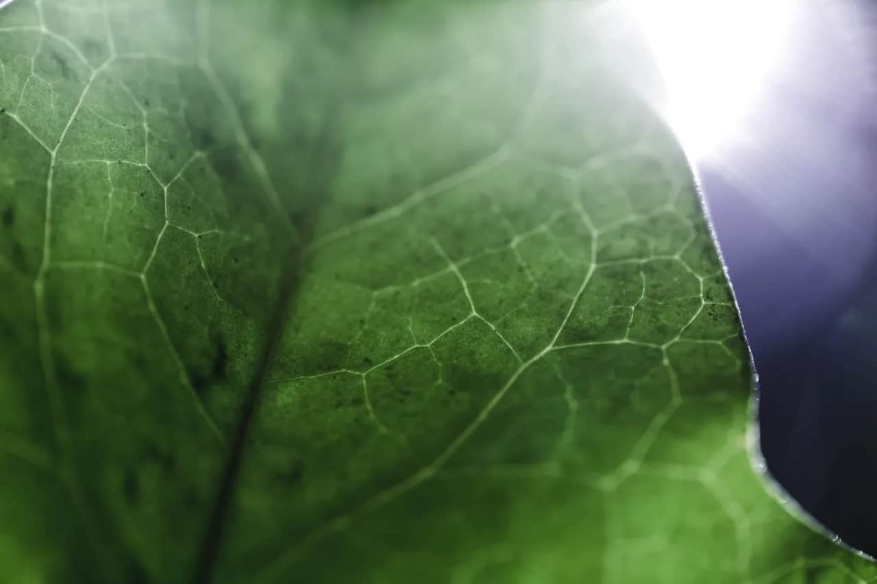 Zielony ład co wprowadza - kluczowe zmiany dla rolnictwa i przemysłu