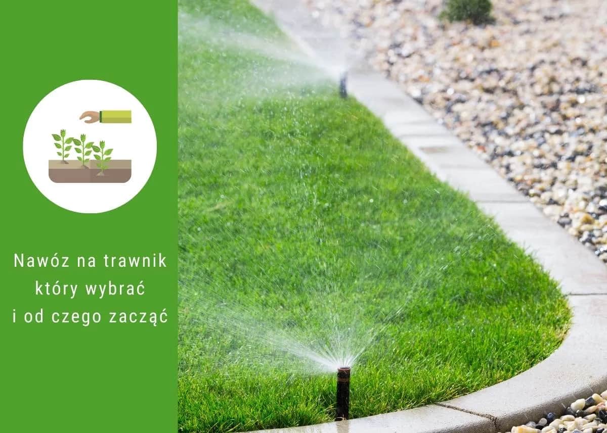 Jaki nawóz na rozkrzewienie trawy? Odkryj skuteczne rozwiązania