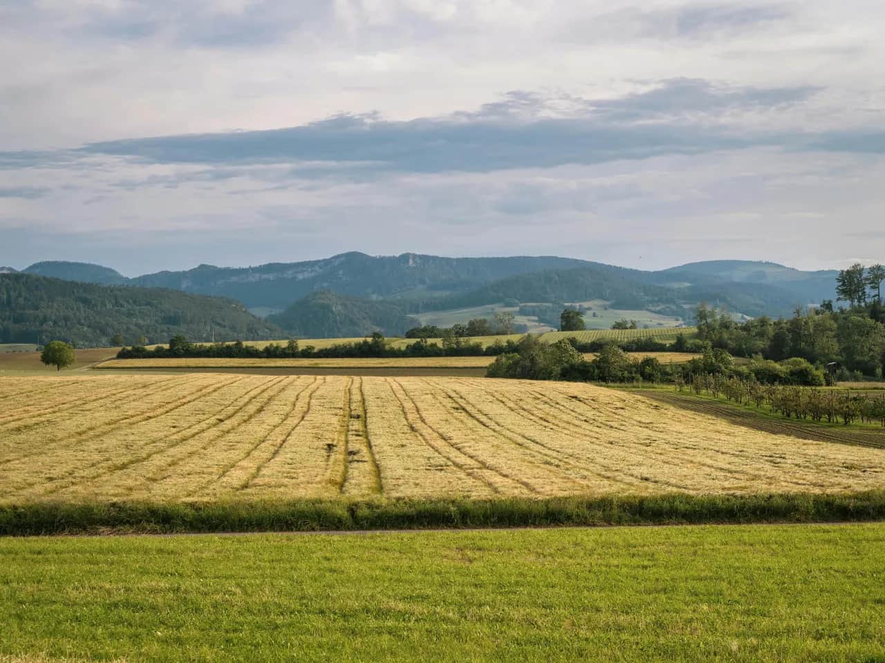 Nowoczesne zarządzanie danymi: kalkulator emisji CO₂ w gospodarstwie jako fundament strategii środowiskowej