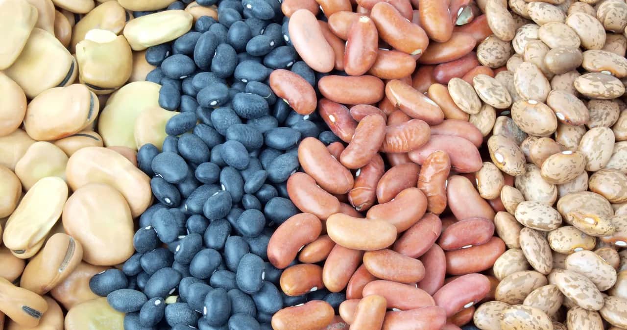 Czy moczyć fasolę przed sadzeniem? Oto, co musisz wiedzieć!